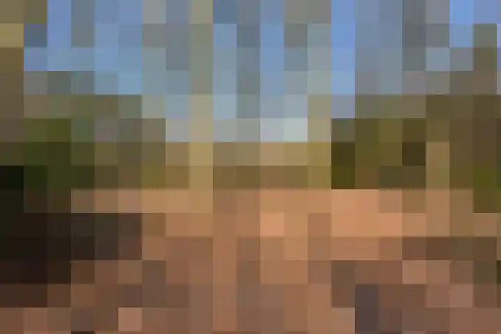 Bracamonteweg 5 Mook thumbnail 29
