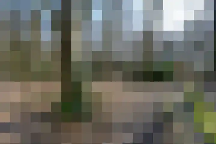 Bracamonteweg 5 Mook thumbnail 32