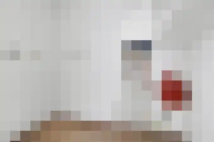Bradfordstraat 29 Putte thumbnail 9