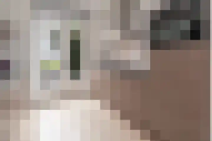 Brahmalaan 70 Barneveld thumbnail 11