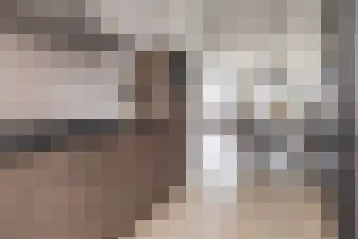 Brahmalaan 70 Barneveld thumbnail 12
