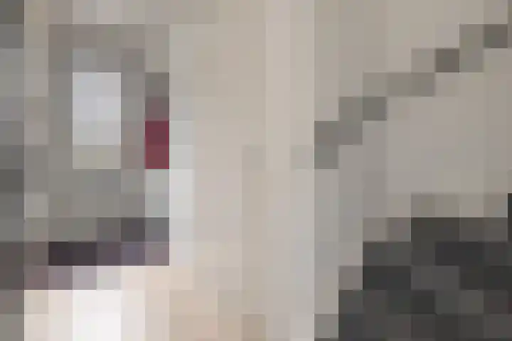 Brahmalaan 70 Barneveld thumbnail 16