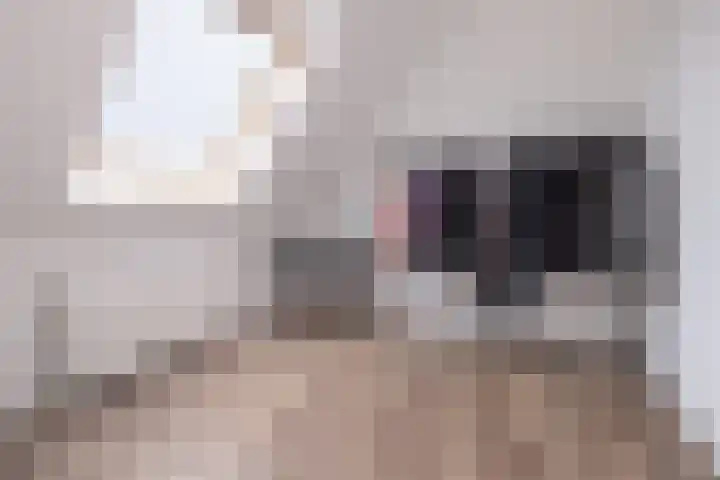 Brahmalaan 70 Barneveld thumbnail 27