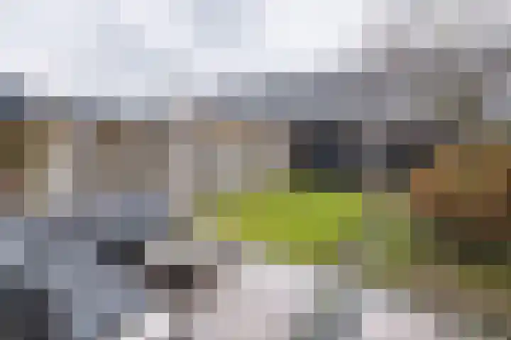 Brahmalaan 70 Barneveld thumbnail 32