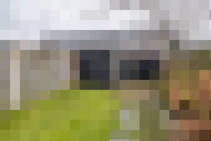 Brahmalaan 70 Barneveld thumbnail 35