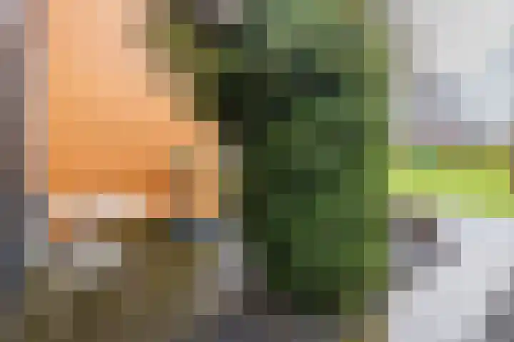 Brahmalaan 70 Barneveld thumbnail 38