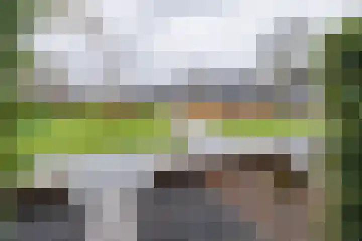 Brahmalaan 70 Barneveld thumbnail 39
