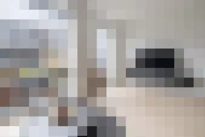 Brahmalaan 70 Barneveld thumbnail 4