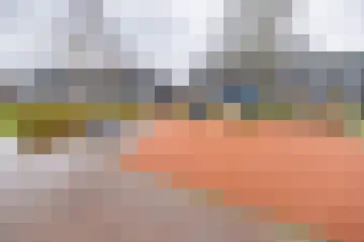 Brahmalaan 70 Barneveld thumbnail 41