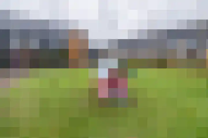 Brahmalaan 70 Barneveld thumbnail 42