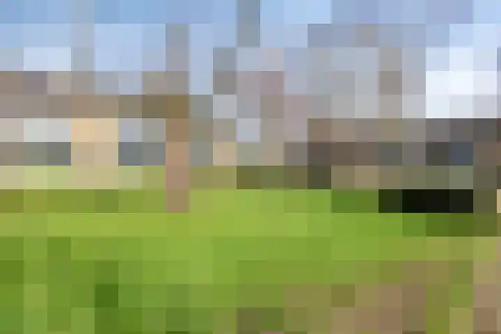 Brahmslaan 101 Leiden thumbnail 12