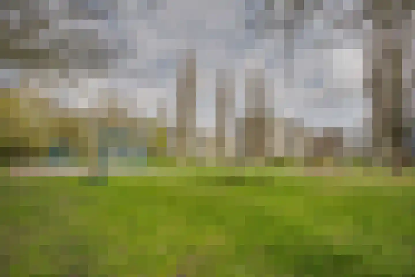 Brahmslaan 101 Leiden thumbnail 25