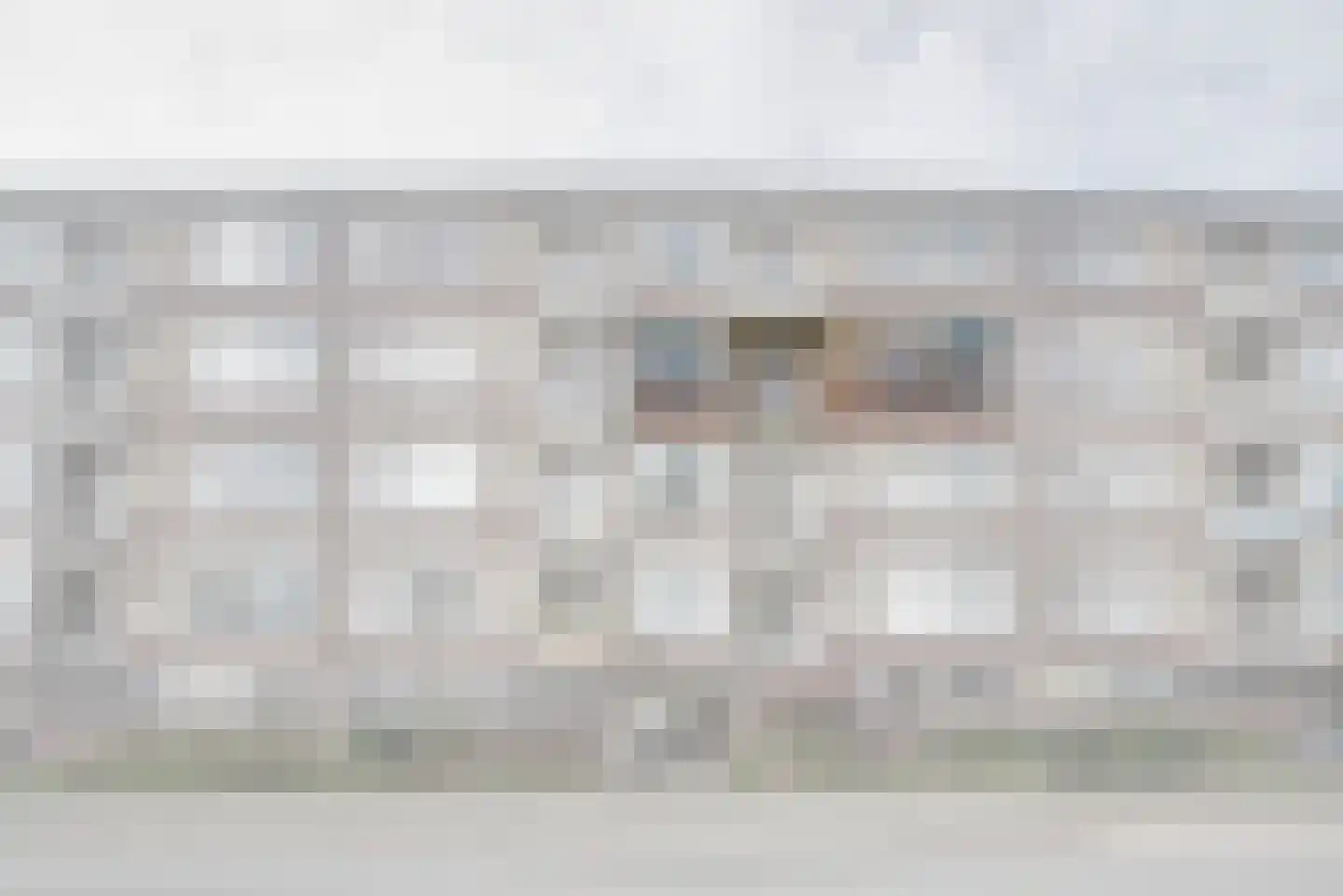 Brahmslaan 101 Leiden thumbnail 35
