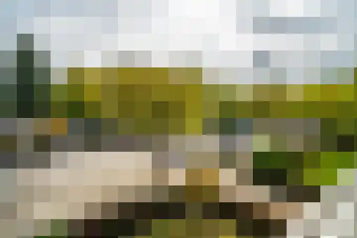 Brahmslaan 255 Leiden thumbnail 11