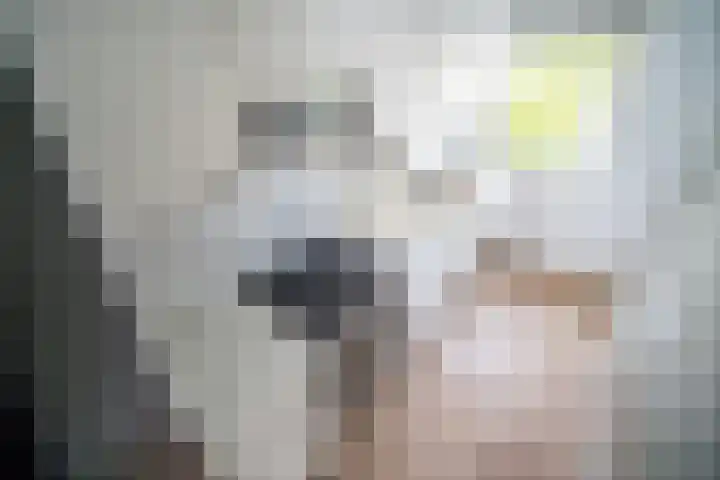 Brahmslaan 255 Leiden thumbnail 25