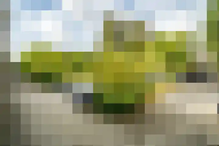 Brahmslaan 255 Leiden thumbnail 30