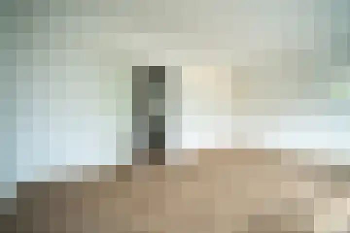 Brahmslaan 255 Leiden thumbnail 6