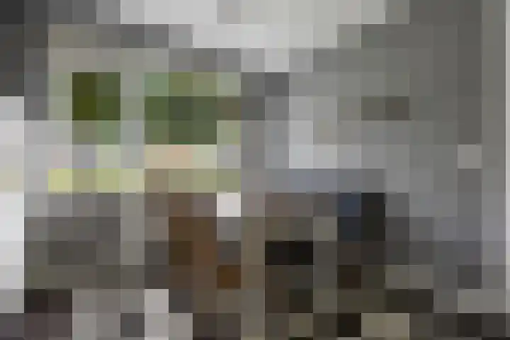 Brahmslaan 44 Voorthuizen thumbnail 13