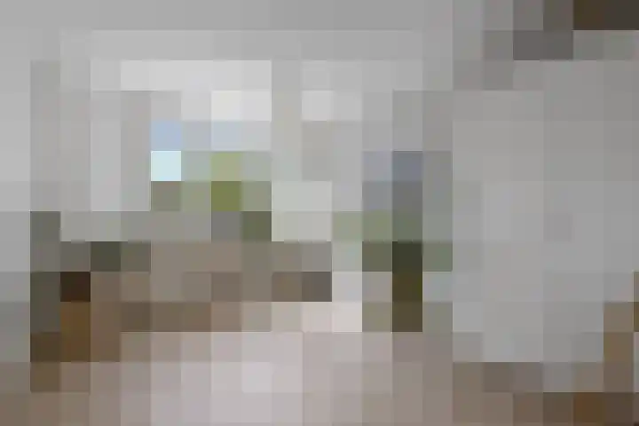 Brahmslaan 44 Voorthuizen thumbnail 24