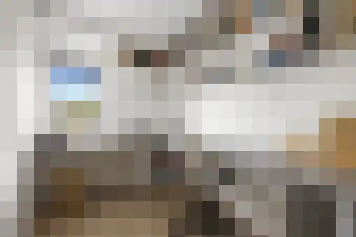 Brahmslaan 44 Voorthuizen thumbnail 26