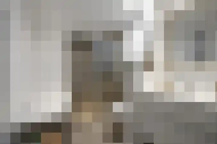Brahmslaan 44 Voorthuizen thumbnail 27