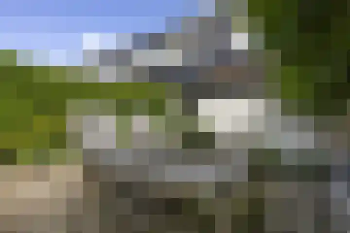 Brahmslaan 44 Voorthuizen thumbnail 36