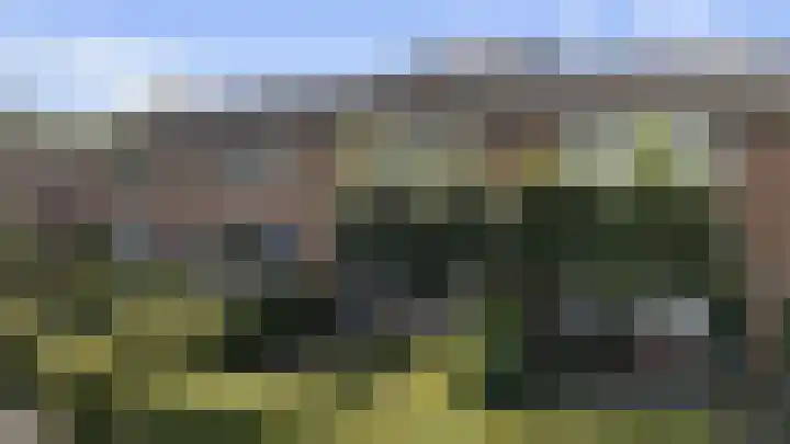 Brahmslaan 44 Voorthuizen thumbnail 39