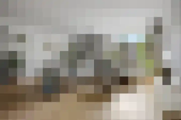 Brahmslaan 44 Voorthuizen thumbnail 7