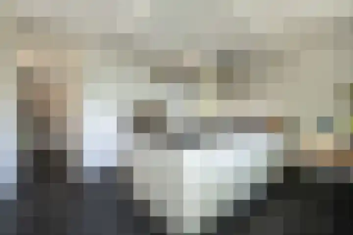 Brahmspark 20 Drunen thumbnail 12