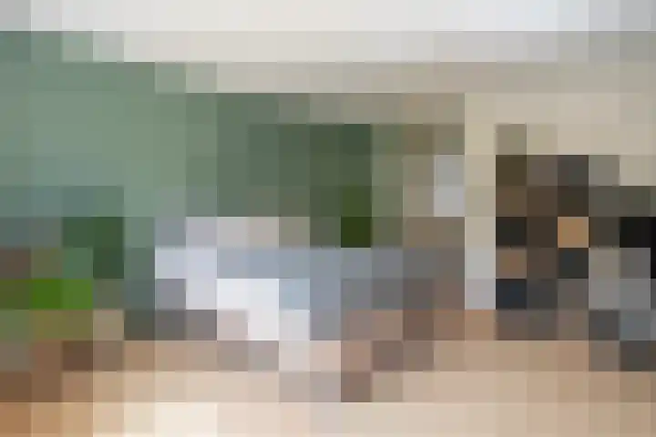 Brahmspark 20 Drunen thumbnail 16