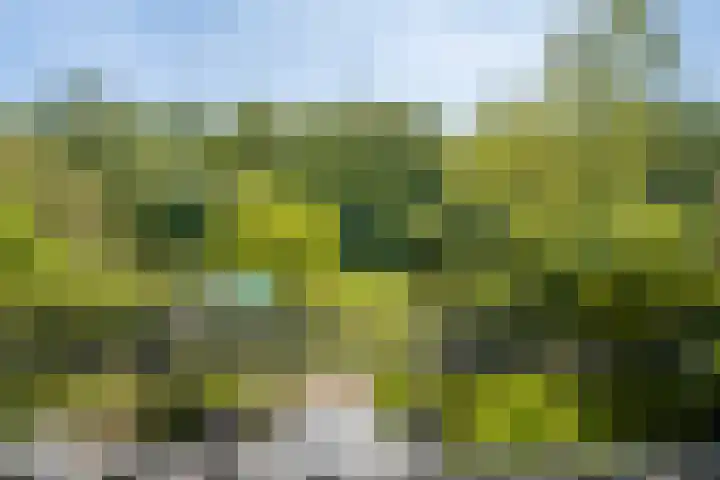 Brahmspark 20 Drunen thumbnail 34