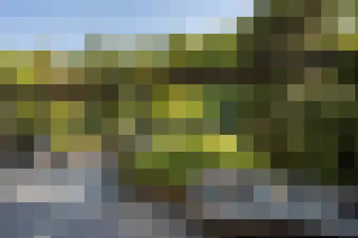 Brahmspark 20 Drunen thumbnail 37