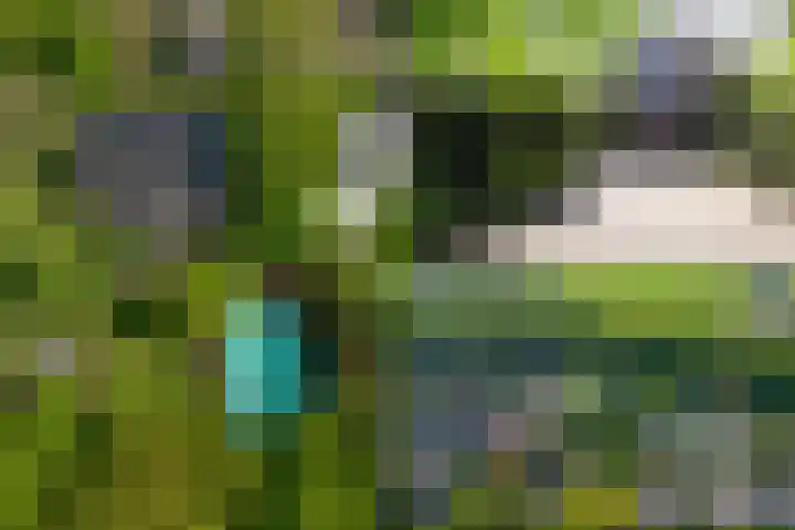 Brahmspark 20 Drunen thumbnail 43