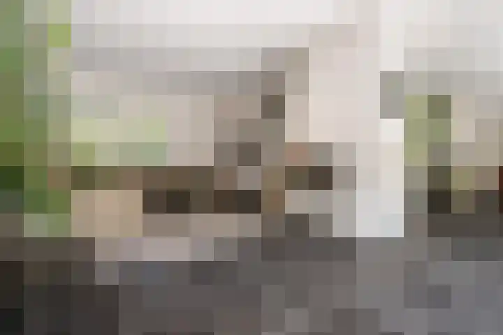 Brahmspark 20 Drunen thumbnail 6
