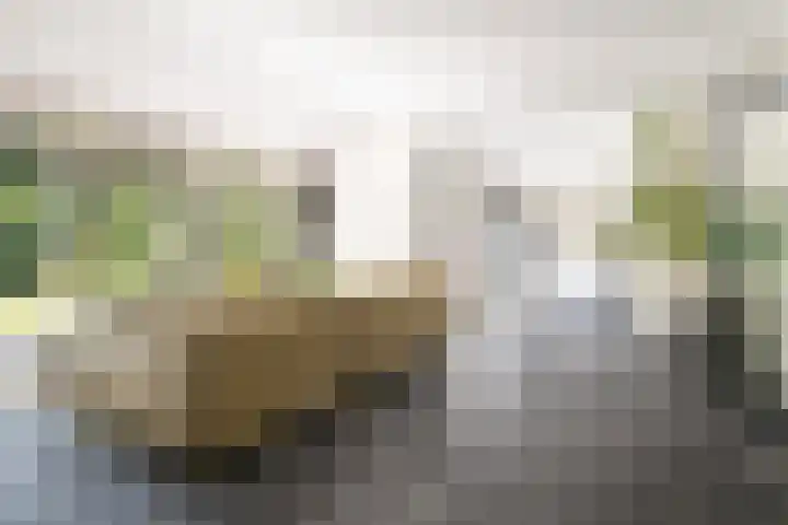 Brahmspark 20 Drunen thumbnail 8
