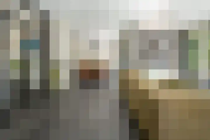 Brahmspark 20 Drunen thumbnail 9