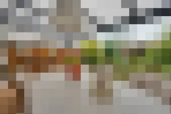 Brahmsstraat 106 Purmerend thumbnail 24