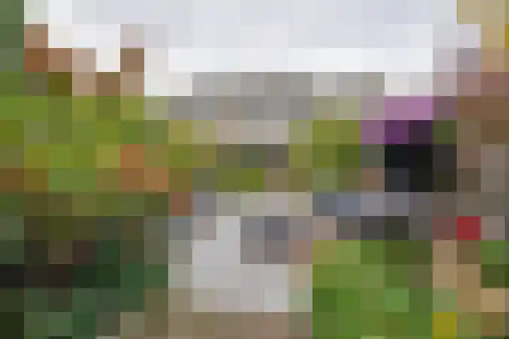 Brahmsstraat 106 Purmerend thumbnail 31