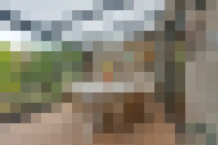 Brahmsstraat 106 Purmerend thumbnail 4