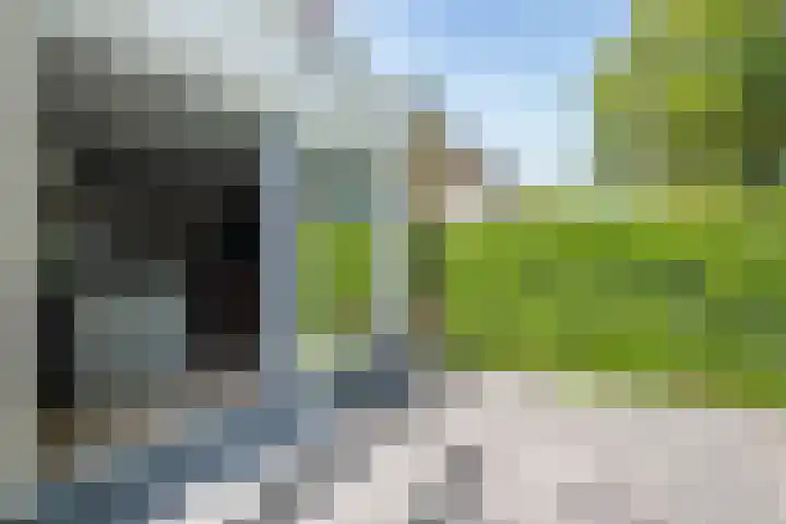 Brahmsstraat 18 Ridderkerk thumbnail 11