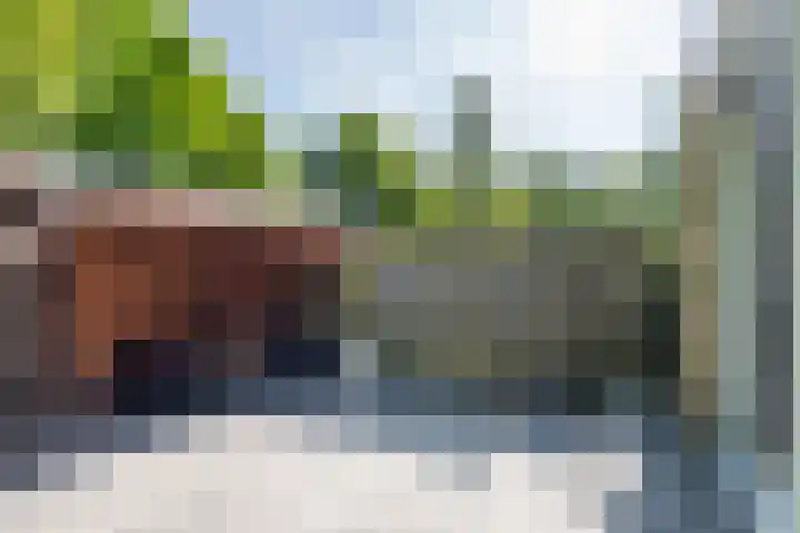 Brahmsstraat 18 Ridderkerk thumbnail 13