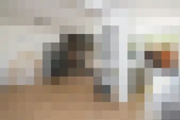 Brahmsstraat 18 Ridderkerk thumbnail 7