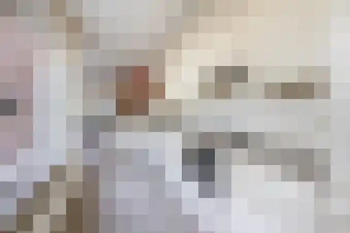 Brahmsstraat 4 Lisse thumbnail 10