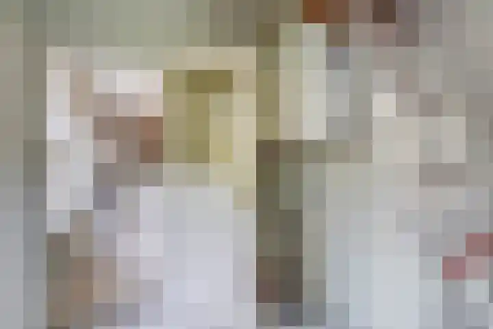 Brahmsstraat 4 Lisse thumbnail 12