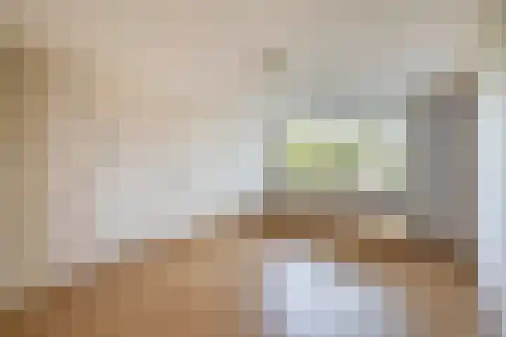 Brahmsstraat 4 Lisse thumbnail 18
