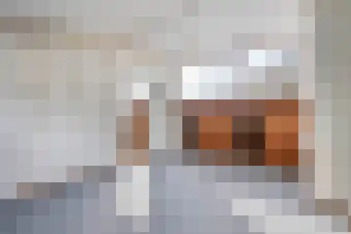Brahmsstraat 4 Lisse thumbnail 29