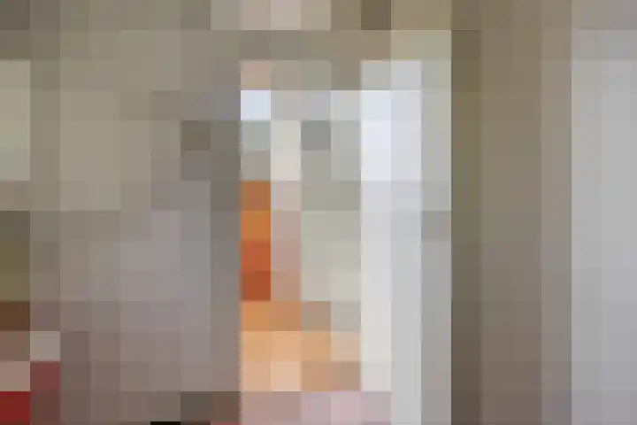 Brahmsstraat 4 Lisse thumbnail 31