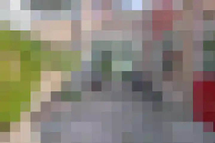 Brahmsstraat 4 Lisse thumbnail 35