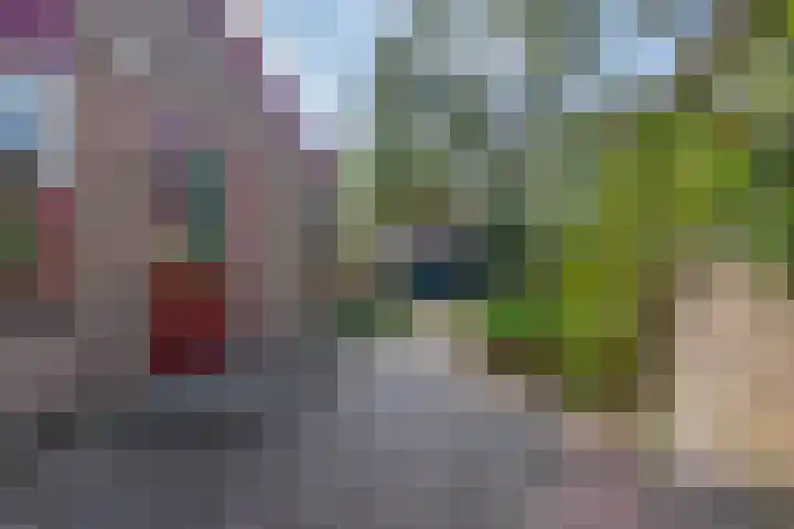 Brahmsstraat 4 Lisse thumbnail 36