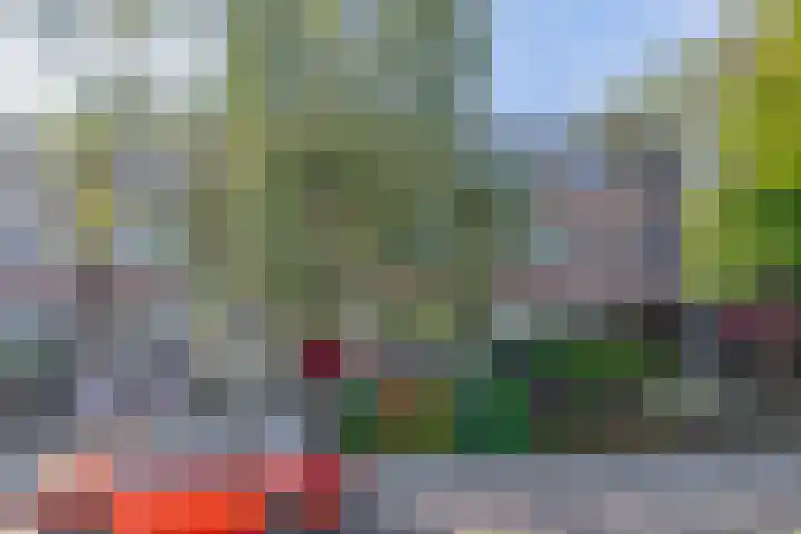 Brahmsstraat 4 Lisse thumbnail 38